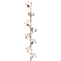 Artikel Künstlicher Baumwollzweig mit 8 echten Blüten 78 cm Braun-Weiß für Innenbereich