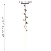 Artikel Künstlicher Baumwollzweig mit 8 echten Blüten 78 cm Braun-Weiß für Innenbereich