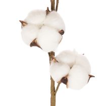 Artikel Künstlicher Baumwollzweig mit 8 echten Blüten 78 cm Braun-Weiß für Innenbereich