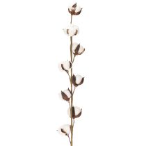 Artikel Künstlicher Baumwollzweig mit 8 echten Blüten 78 cm Braun-Weiß für Innenbereich