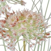 Artikel Kunstblume Kugelblume Allium Zierlauch künstlich Rotgrün 90cm