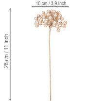 Artikel Künstlicher Beerenzweig Kunststoff Champagner 28cm 3er-Set Innenbereich