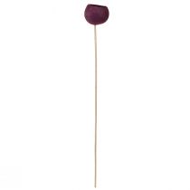 Artikel Bell Cup Trockenblumen Rot, Stiel 15er - Deko Floristik