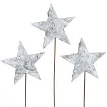 Artikel Weiß gewaschene Birkensterne am Draht für Weihnachts- und Festdeko, 6cm, Set mit 24 Stück