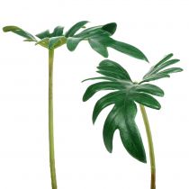 Artikel Blatt Philodendron 31cm Grün 12St