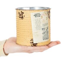 Artikel Blechdose Deko Dose Apricot Metall Pflanztopf Ø11cm H10,5cm