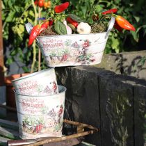 Artikel Blumenkübel Klein Metall Bunt Vintage Fresh Garden 16cm 2er-Set