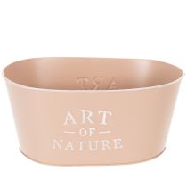 Artikel Blumenschale oval Zink Altrosa Übertopf 27×18cm H12,5cm