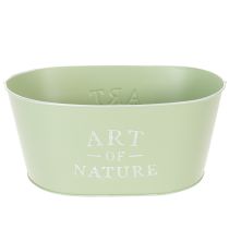 Artikel Blumenschale oval Zink Mintgrün 27×18cm H12,5cm