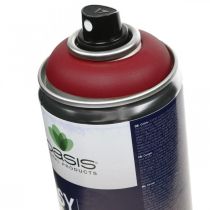 Artikel OASIS® Easy Colour Spray, Lack-Spray Rot 400ml