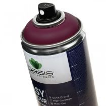 Artikel OASIS® Easy Colour Spray, Lack-Spray Erika 400ml