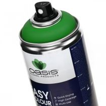 Artikel Easy Colour Spray, Lack-Spray Grün, Frühlingsdeko 400ml