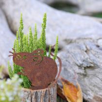 Artikel Blumentopf Holz Übertopf Rinde und Maus Edelrost H24cm