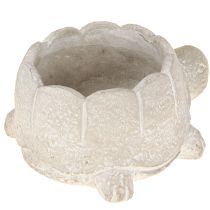 Artikel Blumentopf Schildkröte Beton Deko Grau Shabby Chic 15,5cm 2er Set