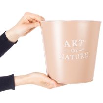 Artikel Runde Übertöpfe aus Zink, 22 cm, Grün und Rosa, 2 Stück