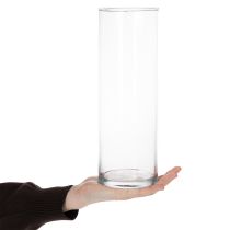 Artikel Glaszylinder Vase 30 cm Transparent für Dekoration und Blumenarrangements