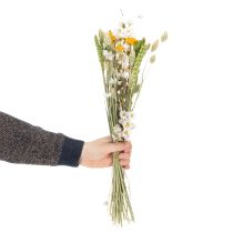 Artikel Trockenblumenstrauß Getreide Gräser Strohblumen 50cm Wohnbereich innen