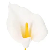 Artikel Kunstblume Calla Weiß mit gelbem Stempel 35cm 10 Stück