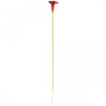 Artikel Calla Rot bordeaux Kunstblumen im Bund 57cm 12 St