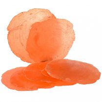 Artikel Capiz Muscheln Capizscheiben Perlmuttscheiben Orange 7,5–9,5cm 300g