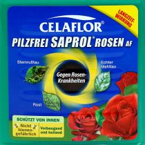 Celaflor Rosen-Pilzfrei Saprol Spray 750ml