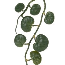 Artikel Künstliche Hängepflanze 60cm Set aus 2 Stück – Realistische Deko für vielfältige Gestaltung