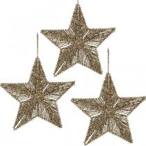 Artikel Christbaumschmuck, Adventsdeko, Stern-Anhänger Golden B20,5cm 6St