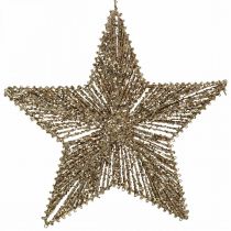 Artikel Christbaumschmuck, Adventsdeko, Stern-Anhänger Golden B30cm 4St