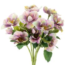 Artikel Kunststoff Kunstblume Christrose Bund 35cm violett 6 Stück Innenbereich