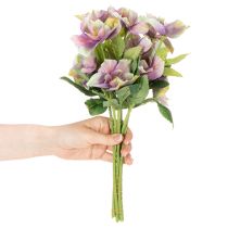 Artikel Kunststoff Kunstblume Christrose Bund 35cm violett 6 Stück Innenbereich