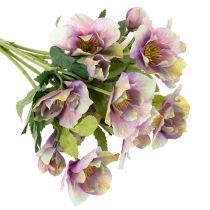 Artikel Kunststoff Kunstblume Christrose Bund 35cm violett 6 Stück Innenbereich