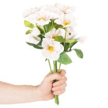 Artikel Kunstblumen-Bund Christrose Kunststoff 35cm Weiß-Rosa Indoor 6 Stück