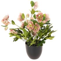 Artikel Helleborus künstliche Topfpflanze 50cm rosa-grün für Dekoration