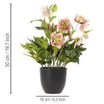Artikel Helleborus künstliche Topfpflanze 50cm rosa-grün für Dekoration