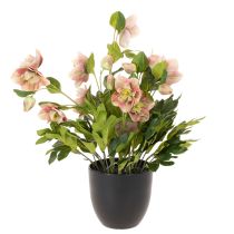 Artikel Helleborus künstliche Topfpflanze 50cm rosa-grün für Dekoration