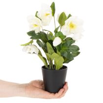 Artikel Christrose künstlich Topfpflanze 34 cm Weiß Kunststoff