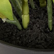 Artikel Christrose künstlich Topfpflanze 34 cm Weiß Kunststoff