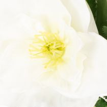 Artikel Kunstblume Christrose Bund 36cm Weiß Kunststoff Innenbereich