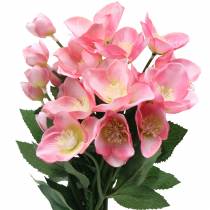 Blumenstrauß Christrosen Rosa 29cm 4St