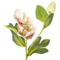 Artikel Christrose künstliche Blumen aus Seidenstoff, 30 cm, 4 Stiele, rosa und grün