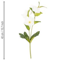 Artikel Christrose Kunstblumen Bund Weiß 40 cm 4 Stiele