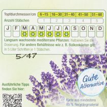 Artikel Langzeit-Düngestäbchen aus mineralischen Nährstoffen für Lavendel und Olivenpflanzen, 20 Stück, Einsatz für Topf- und Kübelpflanzen