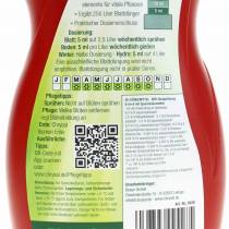 Artikel Chrysal Premium Universaldünger 500ml