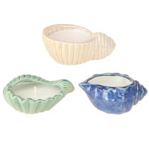 Artikel Citronella Kerze Muschel Keramik Outdoor Kerze 14cm 3St - Maritim, Anti-Mücken, Sommer-Deko