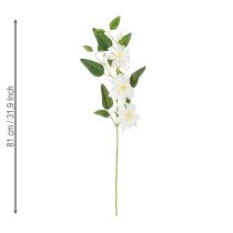 Artikel Künstlicher Clematis Zweig mit weißen Blüten 81cm – Eleganter Dekozweig 2er Set