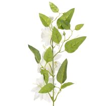 Artikel Künstlicher Clematis Zweig mit weißen Blüten 81cm – Eleganter Dekozweig 2er Set