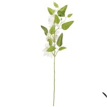 Artikel Künstlicher Clematis Zweig mit weißen Blüten 81cm – Eleganter Dekozweig 2er Set