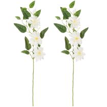 Artikel Künstlicher Clematis Zweig mit weißen Blüten 81cm – Eleganter Dekozweig 2er Set