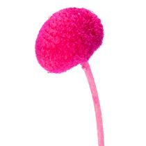 Artikel Craspedia Trockenblumen-Bund 55 cm Pink 20 Stiele