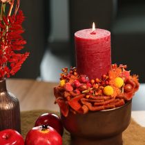Artikel Craspedia Trockenblumenstrauß 55 cm Orange 20 Stiele